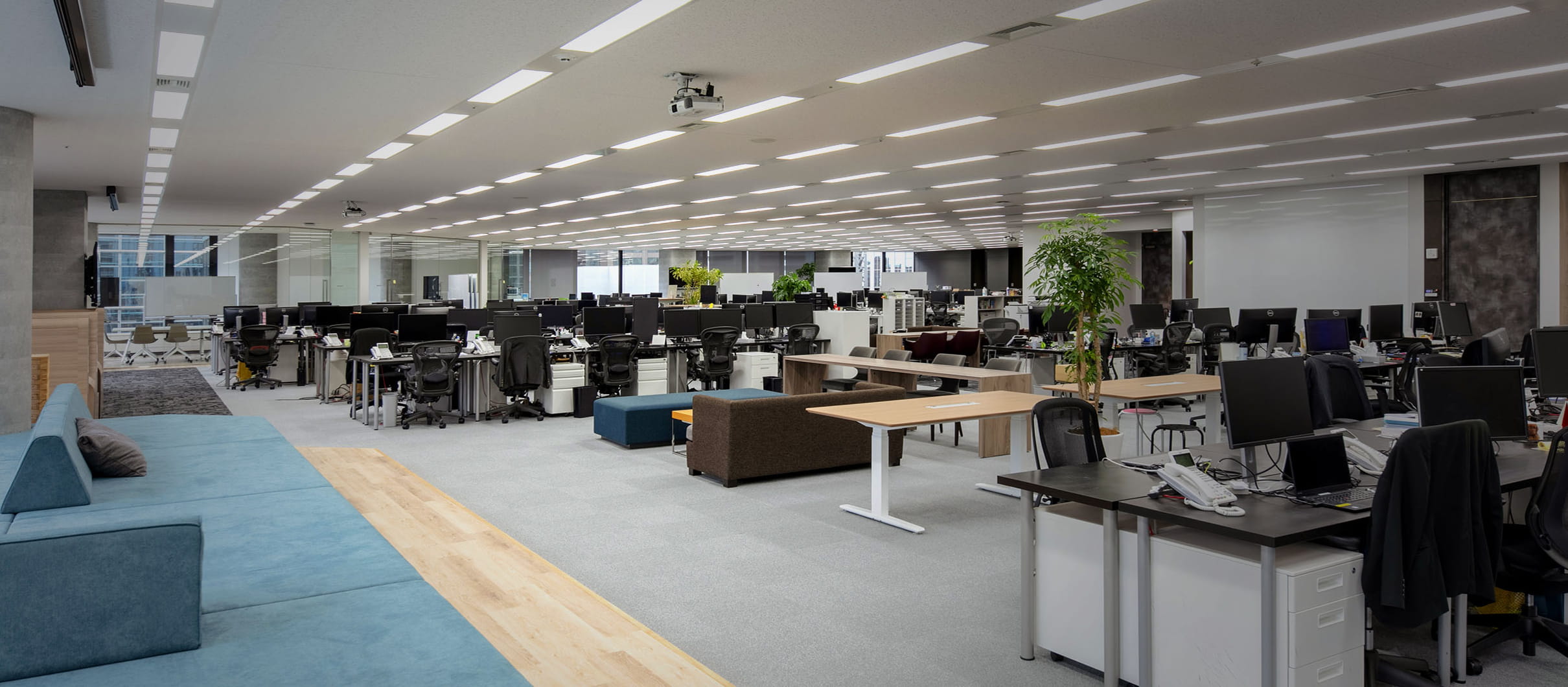 The working floor
