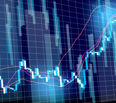 株式・株主還元・IR活動について